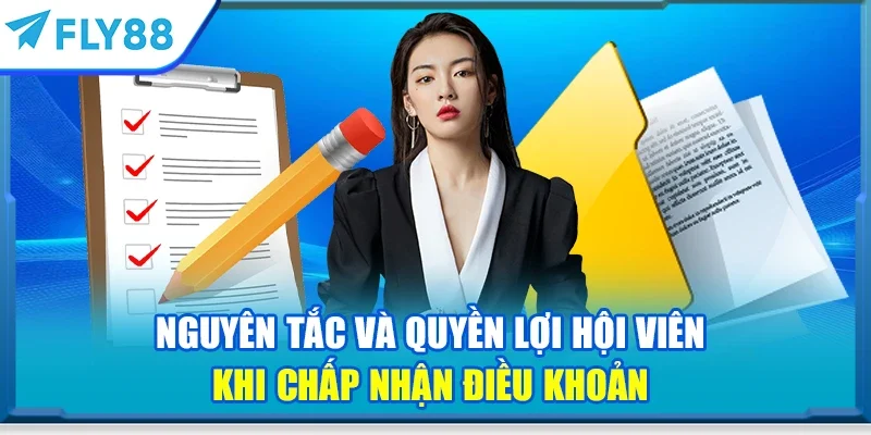 Nguyên tắc và quyền lợi hội viên khi chấp nhận điều khoản